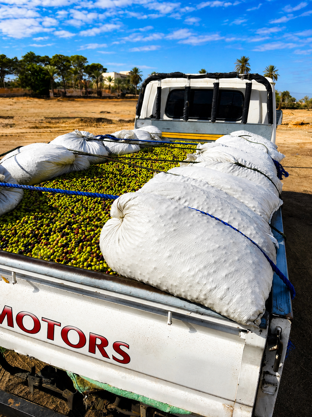 ÉNOIR harvest truck loaded with crates